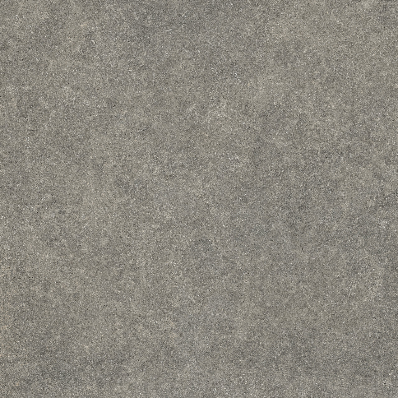 Bild ohne Beschreibung