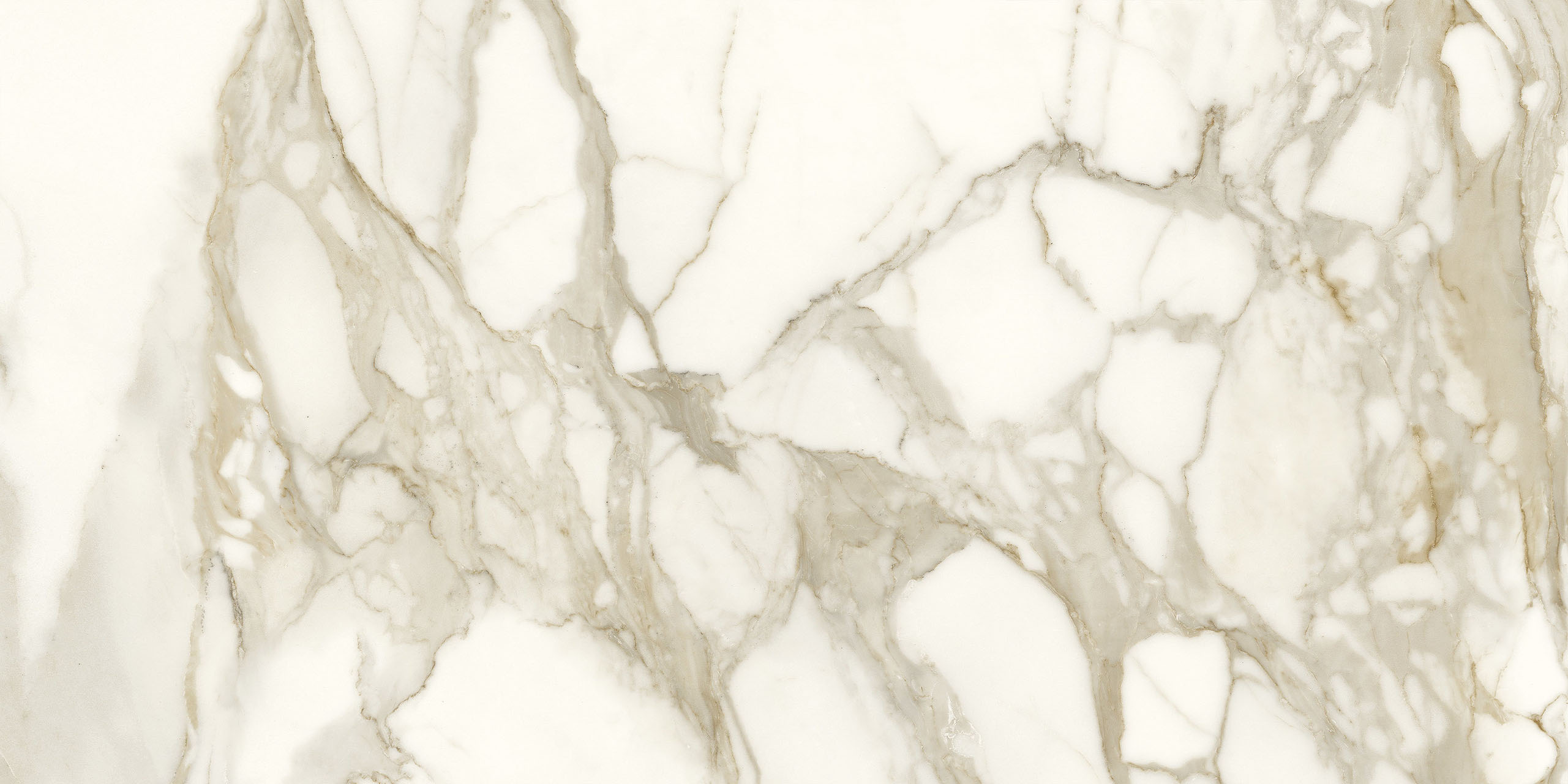 Bild ohne Beschreibung