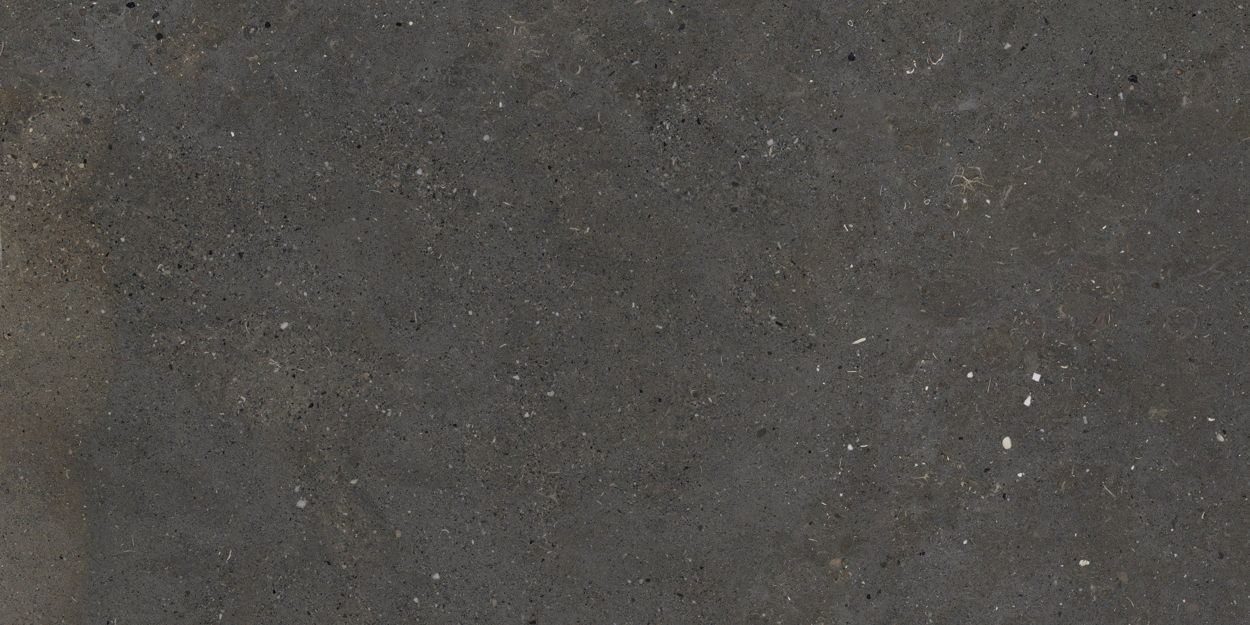 Bild ohne Beschreibung