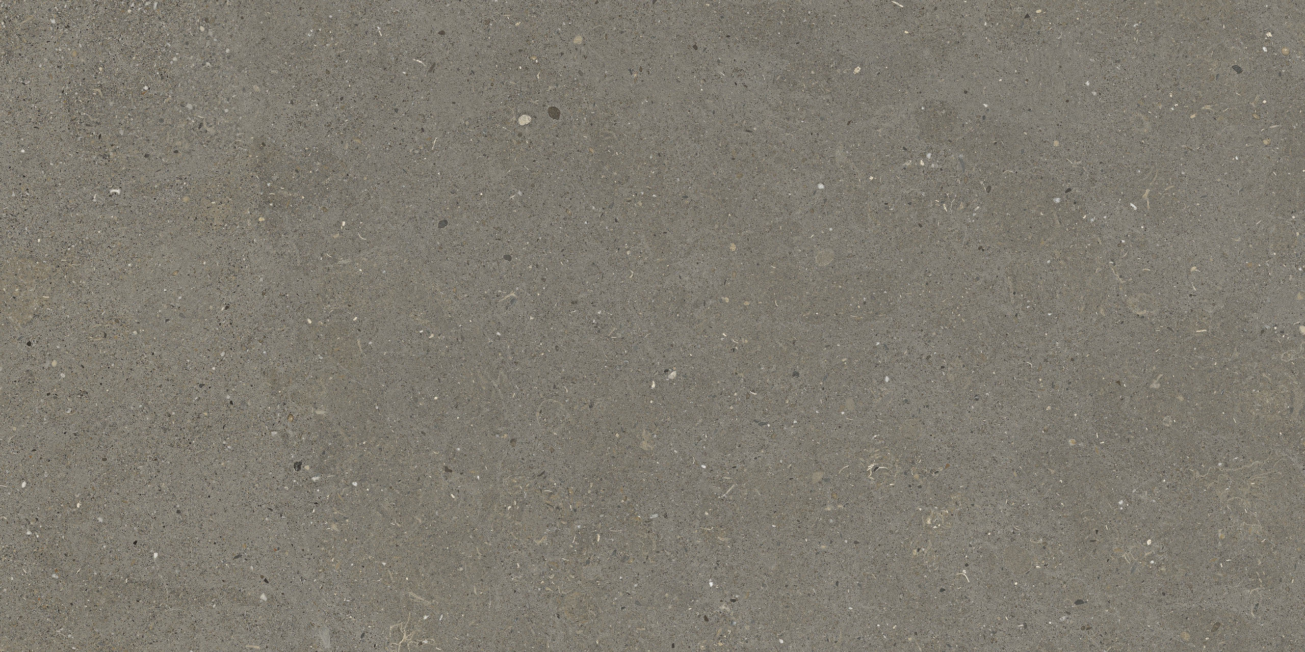 Bild ohne Beschreibung