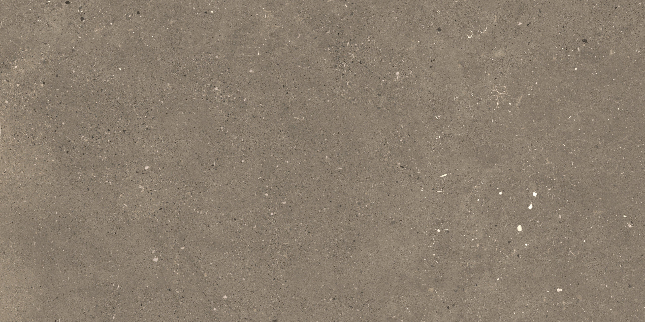 Bild ohne Beschreibung