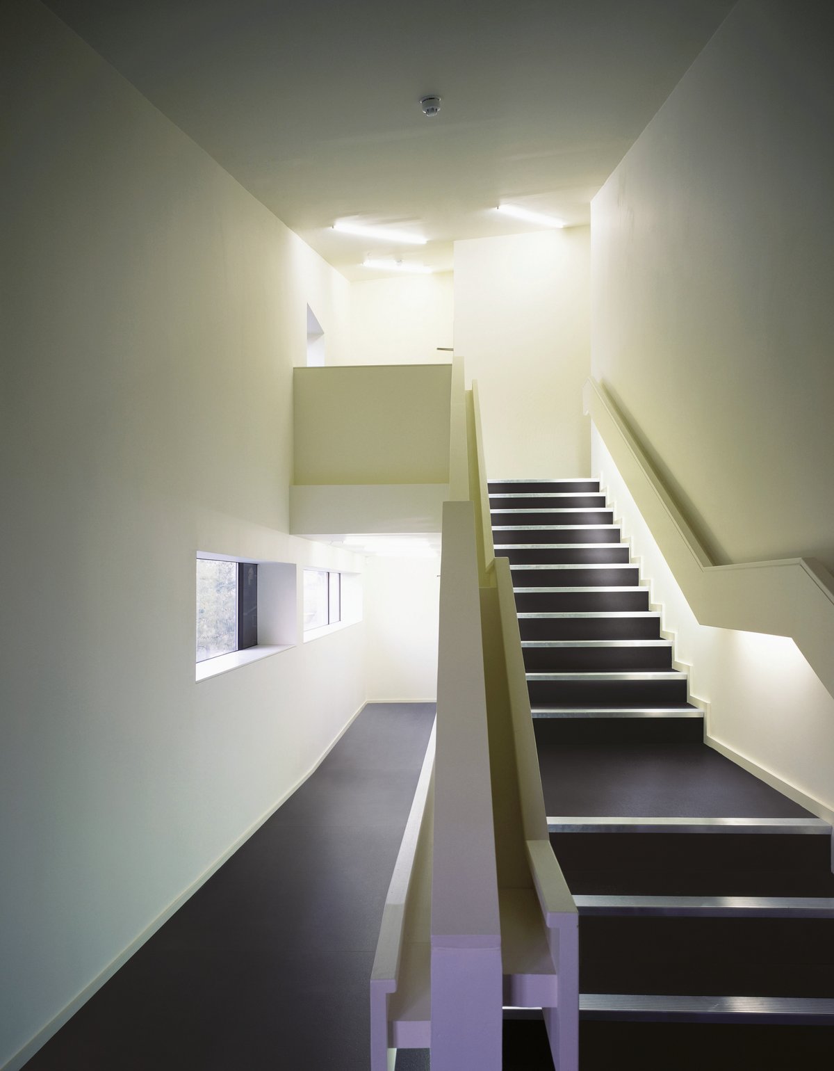 Bild ohne Beschreibung